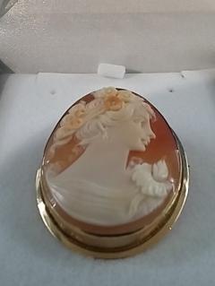 Current Jewellery Highlight